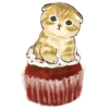 Сладкие котRта @colored_emotions 6