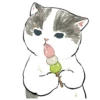 Сладкие котRта @colored_emotions 8