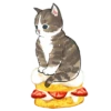 Сладкие котRта @colored_emotions 9