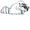 Raccoon - By Simkaye 5