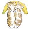 Сладкие котRта @colored_emotions 10
