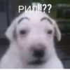 Memwia @Ctikerubot 7