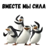 @animesticks :: Пингвины из Мадагаскара 13