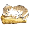 Сладкие котRта @colored_emotions 15