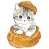 Сладкие котRта @colored_emotions 17