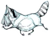 Raccoon - By Simkaye 10