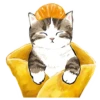 Сладкие котRта @colored_emotions 18