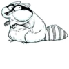Raccoon - By Simkaye 13