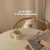 OH MY CAT 13