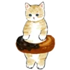Сладкие котRта @colored_emotions 20