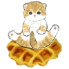 Сладкие котRта @colored_emotions 21
