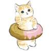 Сладкие котRта @colored_emotions 22