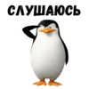 @animesticks :: Пингвины из Мадагаскара 24