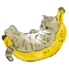 Сладкие котRта @colored_emotions 23