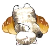 Сладкие котRта @colored_emotions 24