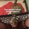 OH MY CAT 22