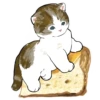 Сладкие котRта @colored_emotions 25