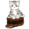 Сладкие котRта @colored_emotions 26