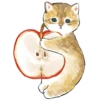 Сладкие котRта @colored_emotions 27