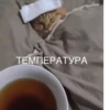 Memwia @Ctikerubot 27