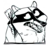 Raccoon - By Simkaye 27