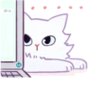 ⪩ ꒰ white kitten ꒱ ⪨ @svalkablin 25