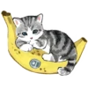 Bannery