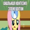 uwu 26