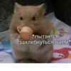 OH MY CAT 29