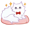 ⪩ ꒰ white kitten ꒱ ⪨ @svalkablin 30