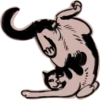 Mad_cat @takvyshlo_tg 5