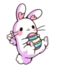Pink Bunny 6