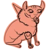 Mad_cat @takvyshlo_tg 10