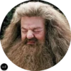 Harry Potter by @TVstickers 12