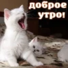 @emojis4 9