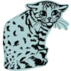 Mad_cat @takvyshlo_tg 11