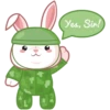 cute plush bunny 11