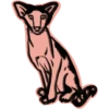 Mad_cat @takvyshlo_tg 14