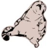 Mad_cat @takvyshlo_tg 16