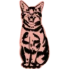Mad_cat @takvyshlo_tg 20