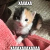 @emojis4 19