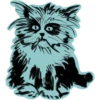 Mad_cat @takvyshlo_tg 28