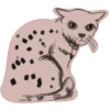 Mad_cat @takvyshlo_tg 30