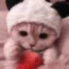 Meow kitty’s 6
