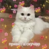 Любовные пикчи @colored_emotions 6