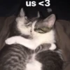 Meow kitty’s 11