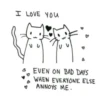 Meow kitty’s 13