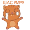 MAG JUMPY