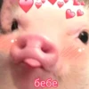 ludicrous animals 8