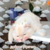 Любовные пикчи @colored_emotions 18